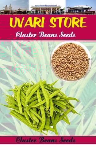 UVARI Cluster Beans Seeds - 100 Seeds